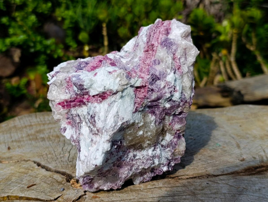 Natural Rubellite Pink Tourmaline in Quartz and Mica Schist x 1 From Karibib, Namibia