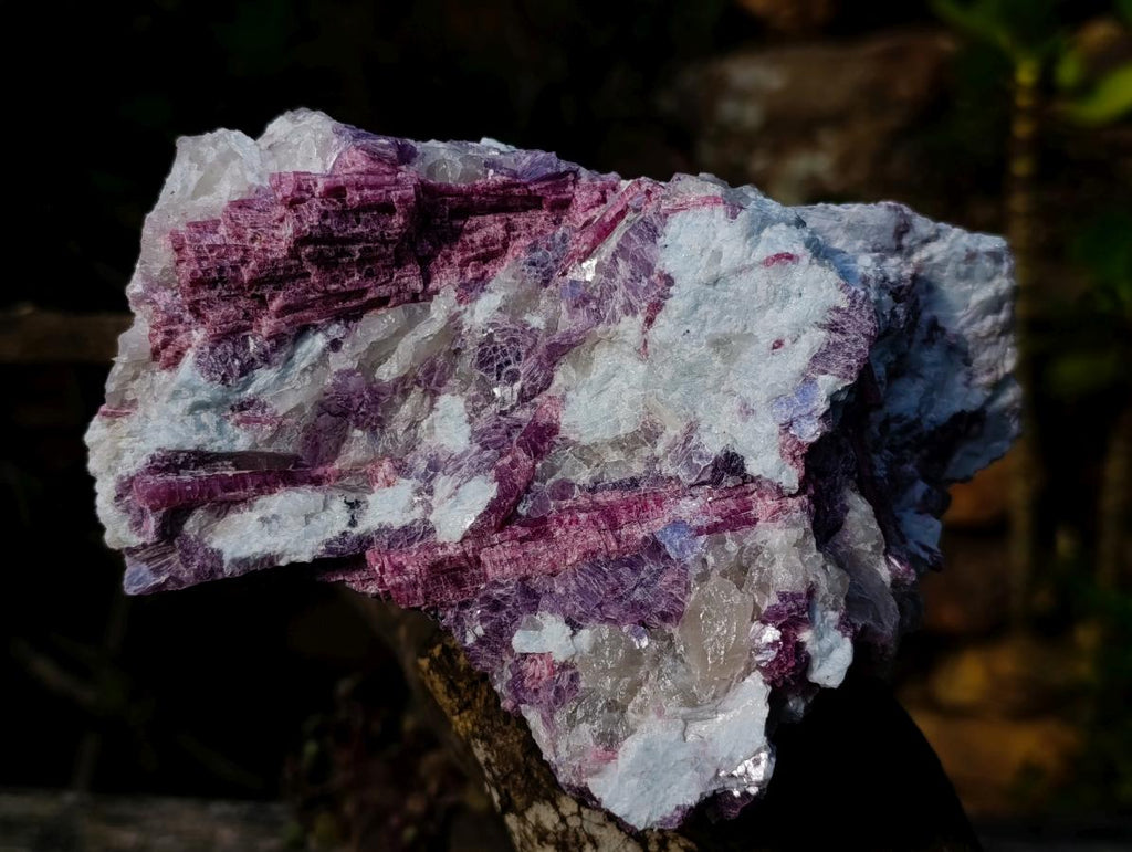 Natural Rubellite Pink Tourmaline in Quartz and Mica Schist x 1 From Karibib, Namibia