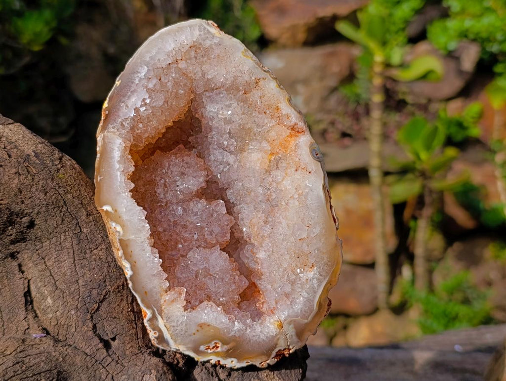 Polished Agate Crystalline Centred Geode x 1 From Maintirano, Madagascar