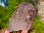 Natural Smokey Amethyst Centre Window Quartz Crystal x 1 From Brandberg, Namibia