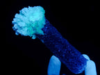 Natural Rare Hyalite Opal on Feldspar with Foitite Specimen x 1 From Erongo Mountain, Namibia