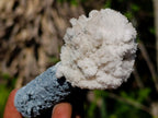 Natural Rare Hyalite Opal on Feldspar with Foitite Specimen x 1 From Erongo Mountain, Namibia