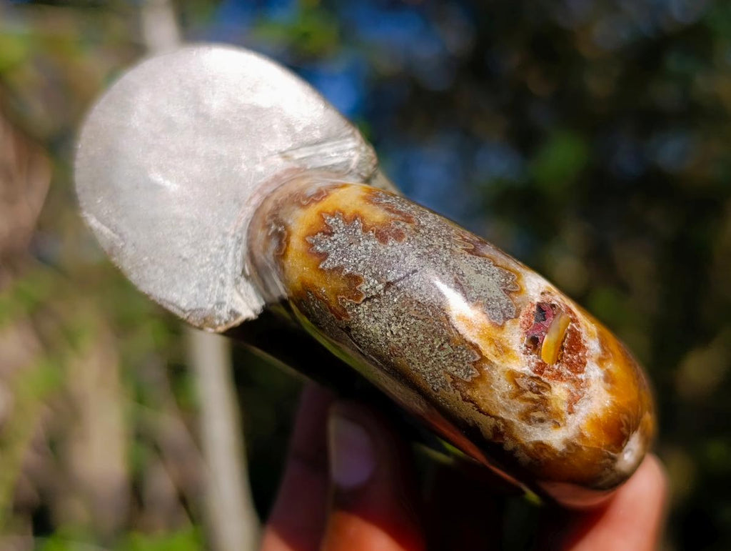 Polished Rare Rams Horn Ammonite Fossil x 1 From Tulear, Madagascar