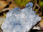 Natural Celestite Crystal Plate Specimen x 1 From Sakoany, Madagascar