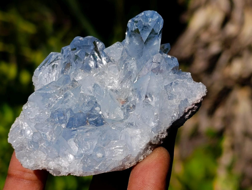 Natural Celestite Crystal Plate Specimen x 1 From Sakoany, Madagascar