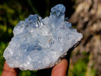 Natural Celestite Crystal Plate Specimen x 1 From Sakoany, Madagascar
