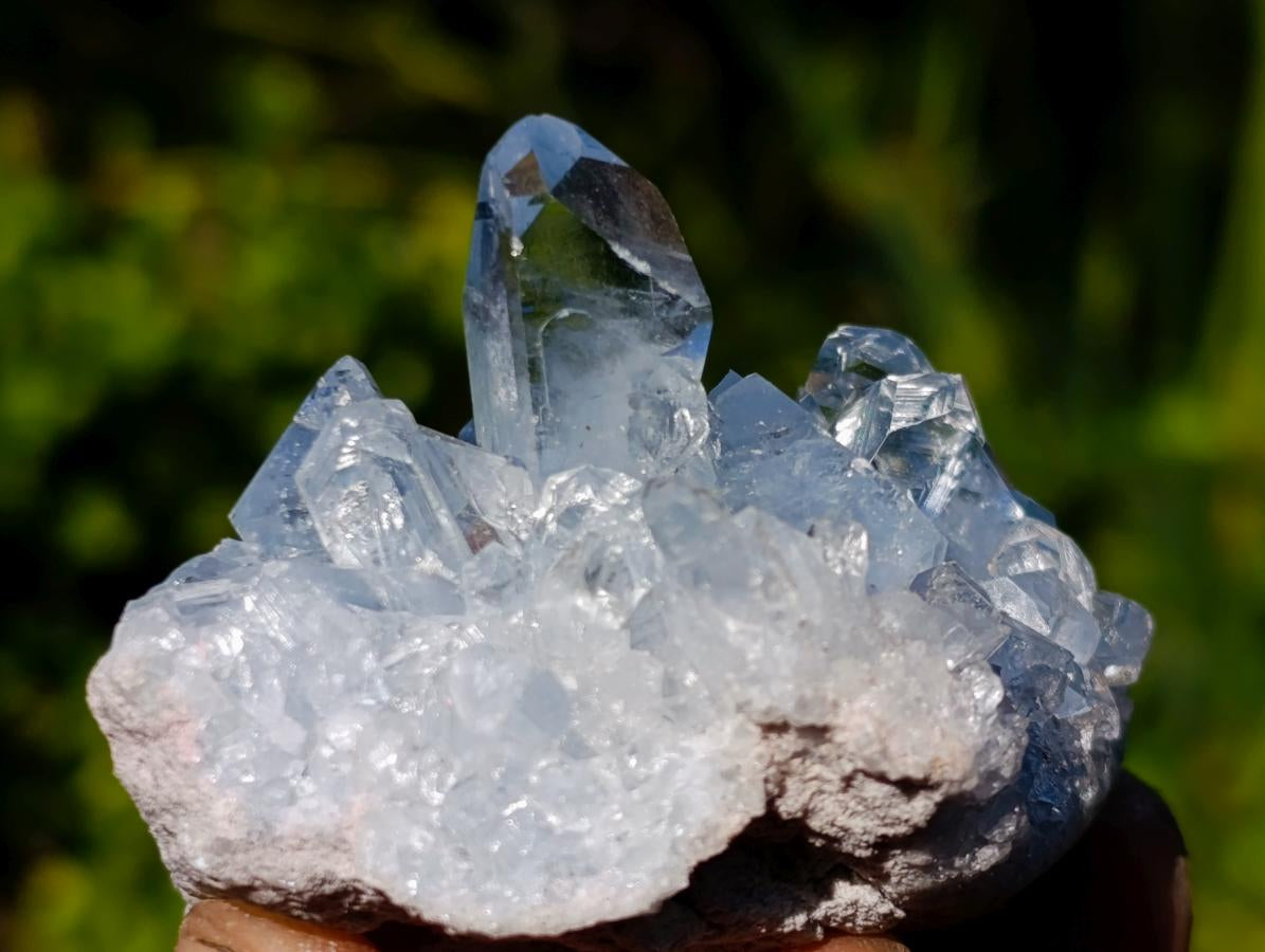 Natural Celestite Crystal Plate Specimen x 1 From Sakoany, Madagascar
