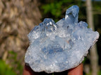 Natural Celestite Crystal Plate Specimen x 1 From Sakoany, Madagascar