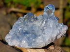Natural Celestite Crystal Plate Specimen x 1 From Sakoany, Madagascar