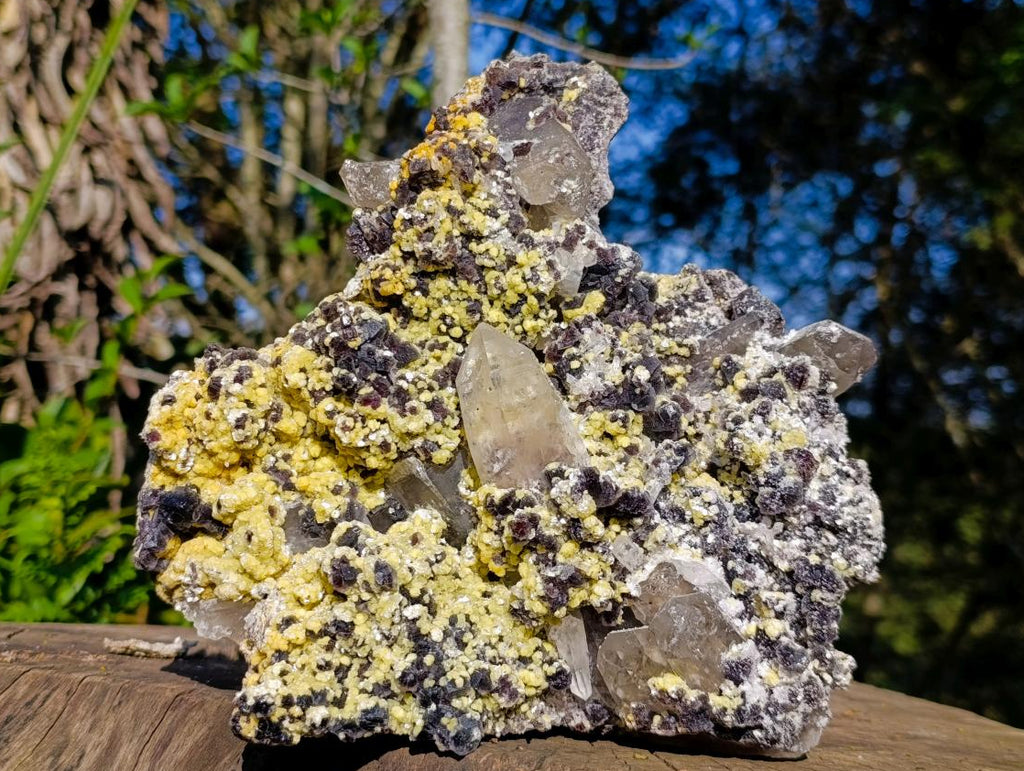 Natural Large Smokey Fluorite Specimen with Associated Minerals x 1 From Erongo, Namibia