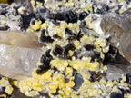 Natural Large Smokey Fluorite Specimen with Associated Minerals x 1 From Erongo, Namibia