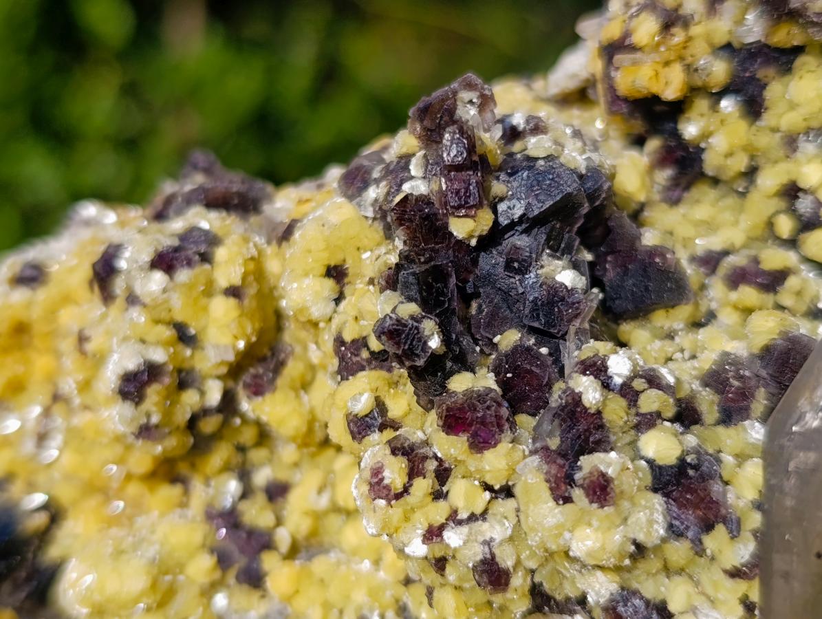 Natural Large Smokey Fluorite Specimen with Associated Minerals x 1 From Erongo, Namibia