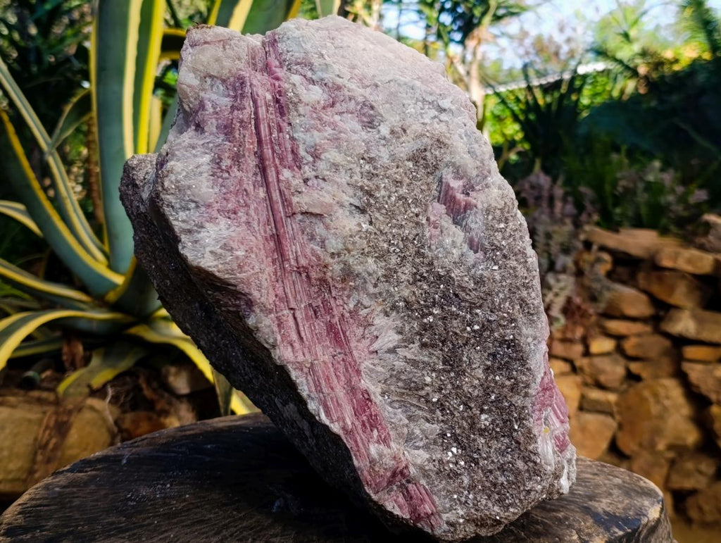 Natural Massive XXL Rubellite Pink Tourmaline in Quartz and Mica Schist x 1 From Karibib, Namibia