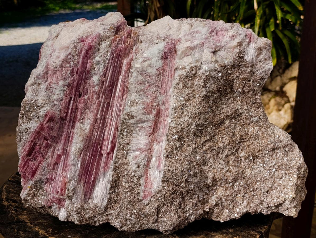 Natural Massive XXL Rubellite Pink Tourmaline in Quartz and Mica Schist x 1 From Karibib, Namibia