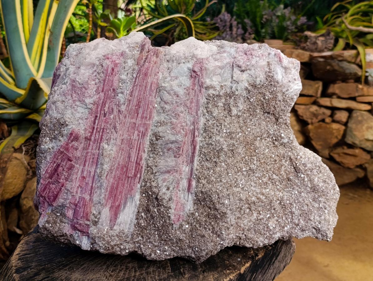 Natural Massive XXL Rubellite Pink Tourmaline in Quartz and Mica Schist x 1 From Karibib, Namibia