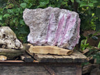 Natural Massive XXL Rubellite Pink Tourmaline in Quartz and Mica Schist x 1 From Karibib, Namibia