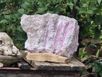 Natural Massive XXL Rubellite Pink Tourmaline in Quartz and Mica Schist x 1 From Karibib, Namibia