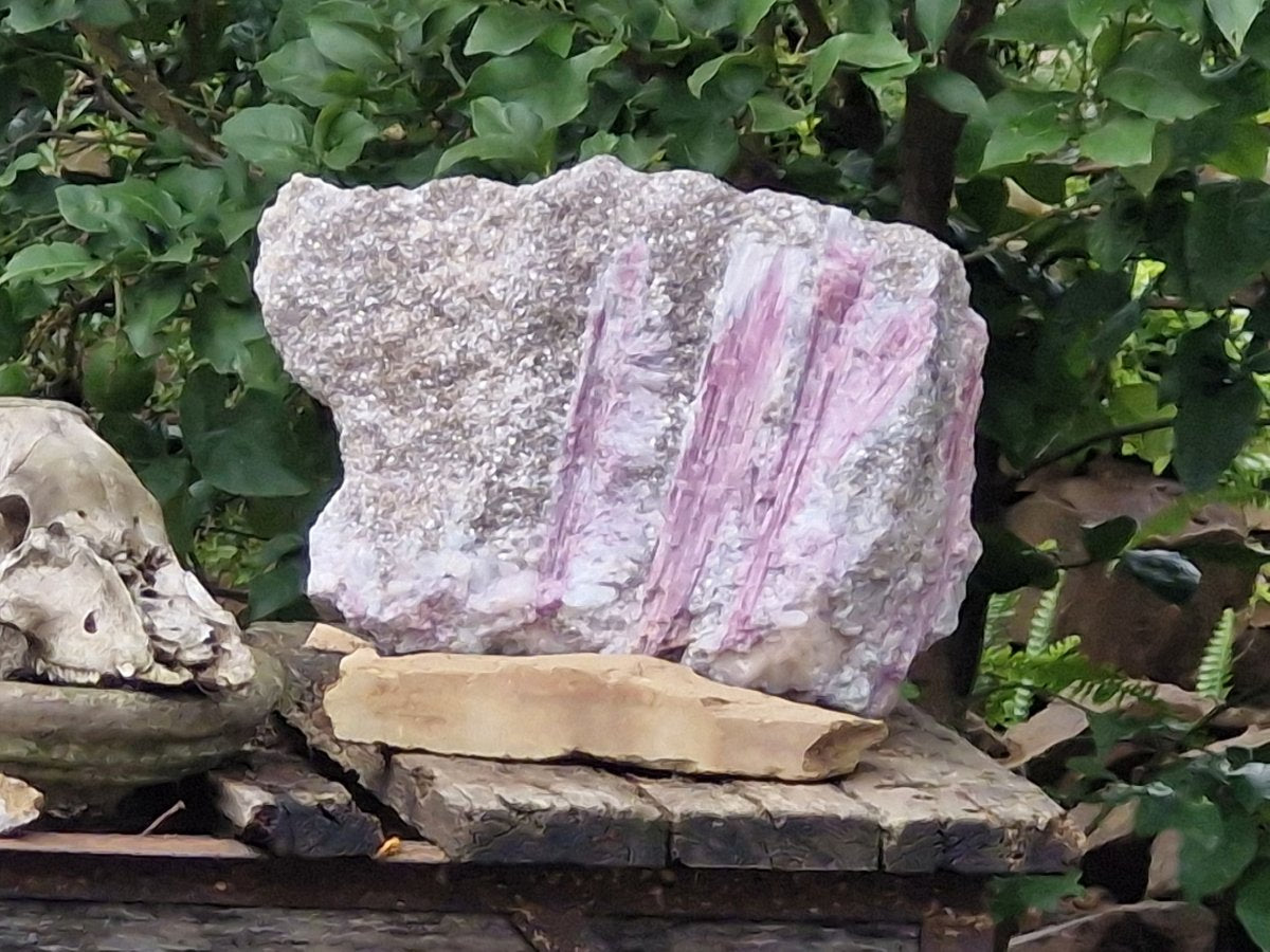 Natural Massive XXL Rubellite Pink Tourmaline in Quartz and Mica Schist x 1 From Karibib, Namibia