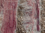 Natural Massive XXL Rubellite Pink Tourmaline in Quartz and Mica Schist x 1 From Karibib, Namibia