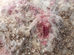 Natural Massive XXL Rubellite Pink Tourmaline in Quartz and Mica Schist x 1 From Karibib, Namibia