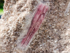 Natural Massive XXL Rubellite Pink Tourmaline in Quartz and Mica Schist x 1 From Karibib, Namibia