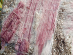 Natural Massive XXL Rubellite Pink Tourmaline in Quartz and Mica Schist x 1 From Karibib, Namibia