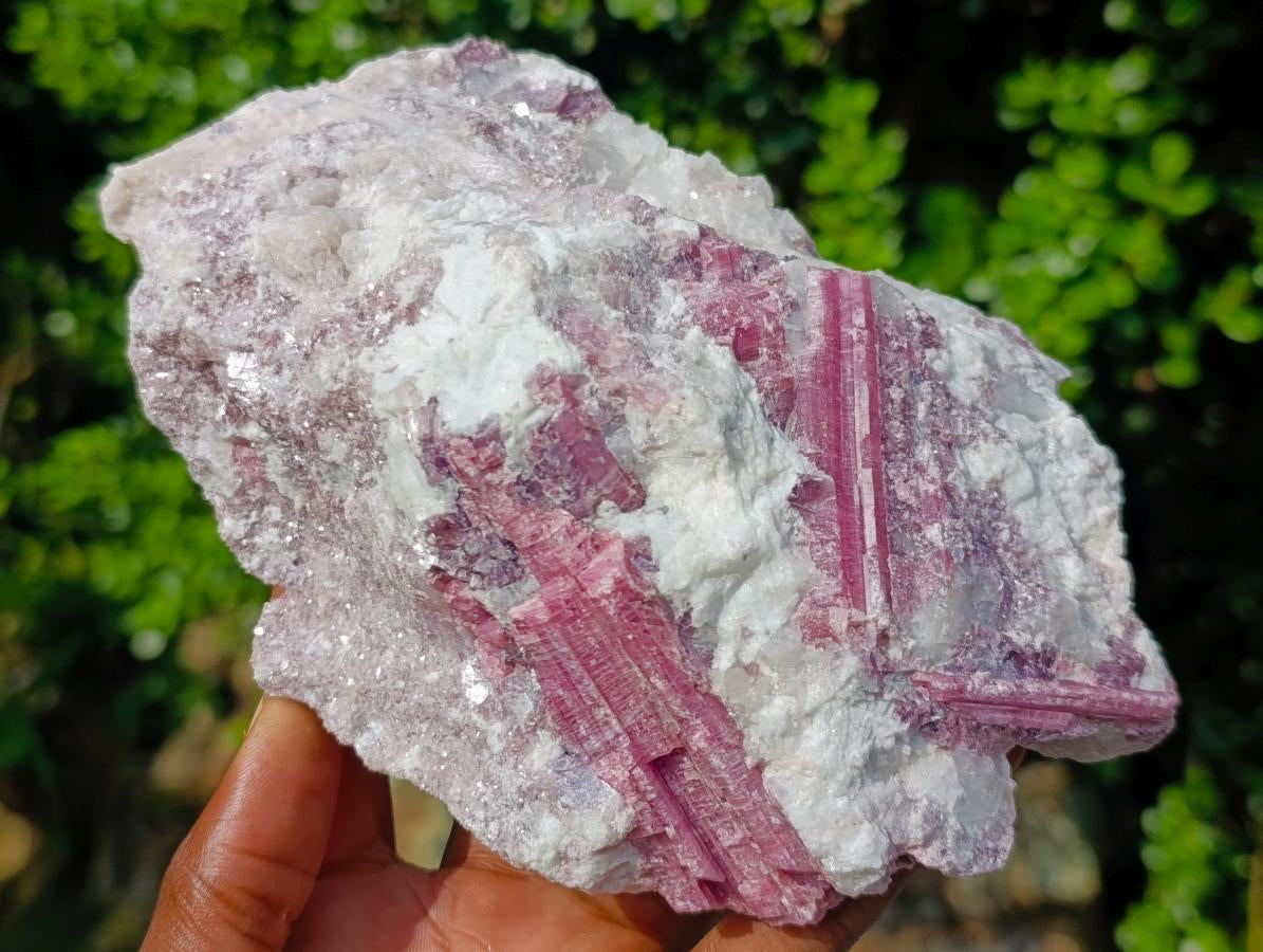 Natural Large Rubellite Pink Tourmaline in a Quartz and Mica Schist x 1 From Karibib, Namibia