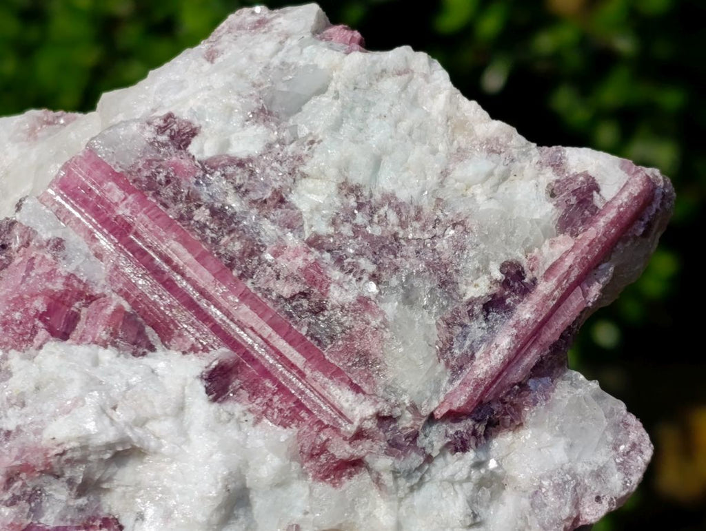 Natural Large Rubellite Pink Tourmaline in a Quartz and Mica Schist x 1 From Karibib, Namibia