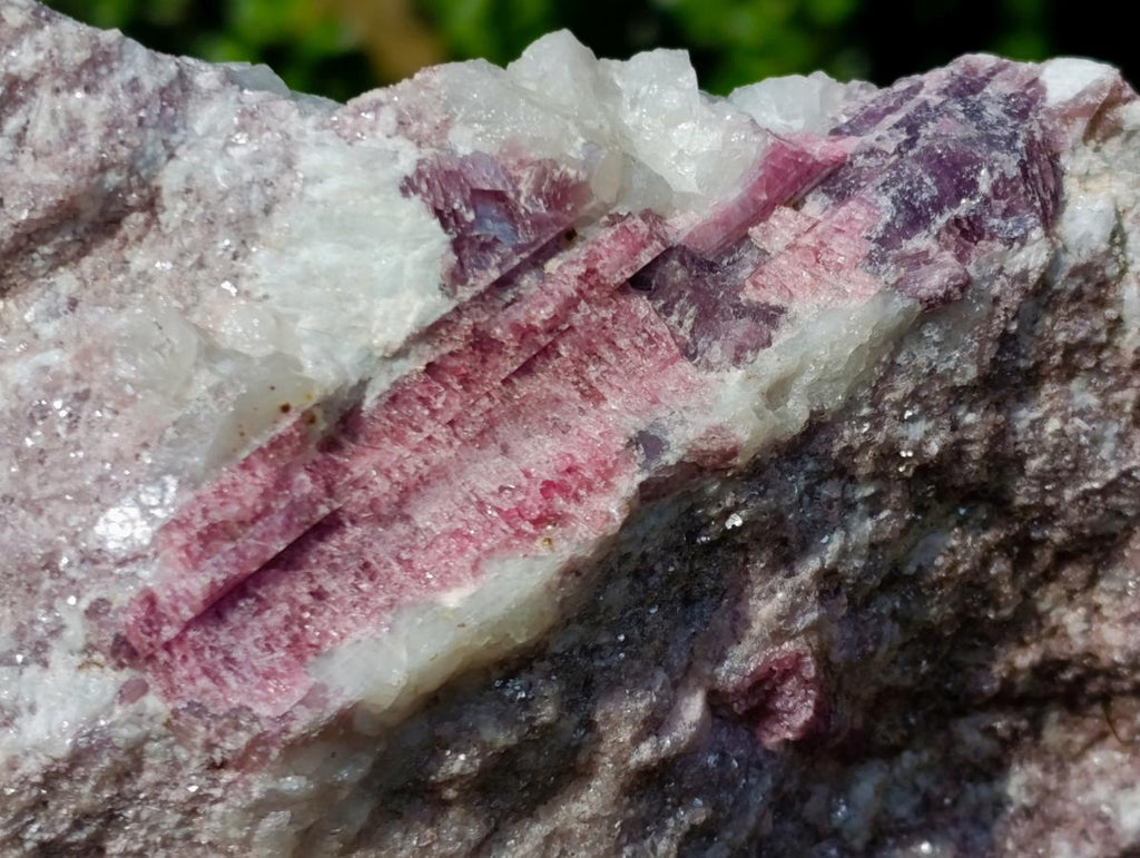 Natural Large Rubellite Pink Tourmaline in a Quartz and Mica Schist x 1 From Karibib, Namibia