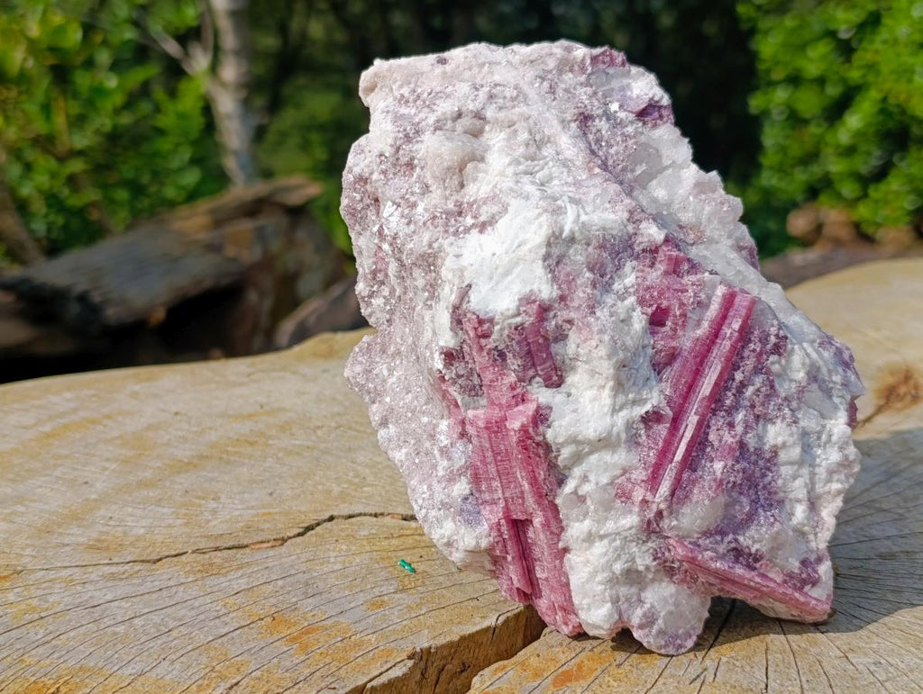 Natural Large Rubellite Pink Tourmaline in a Quartz and Mica Schist x 1 From Karibib, Namibia