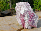 Natural Large Rubellite Pink Tourmaline in a Quartz and Mica Schist x 1 From Karibib, Namibia