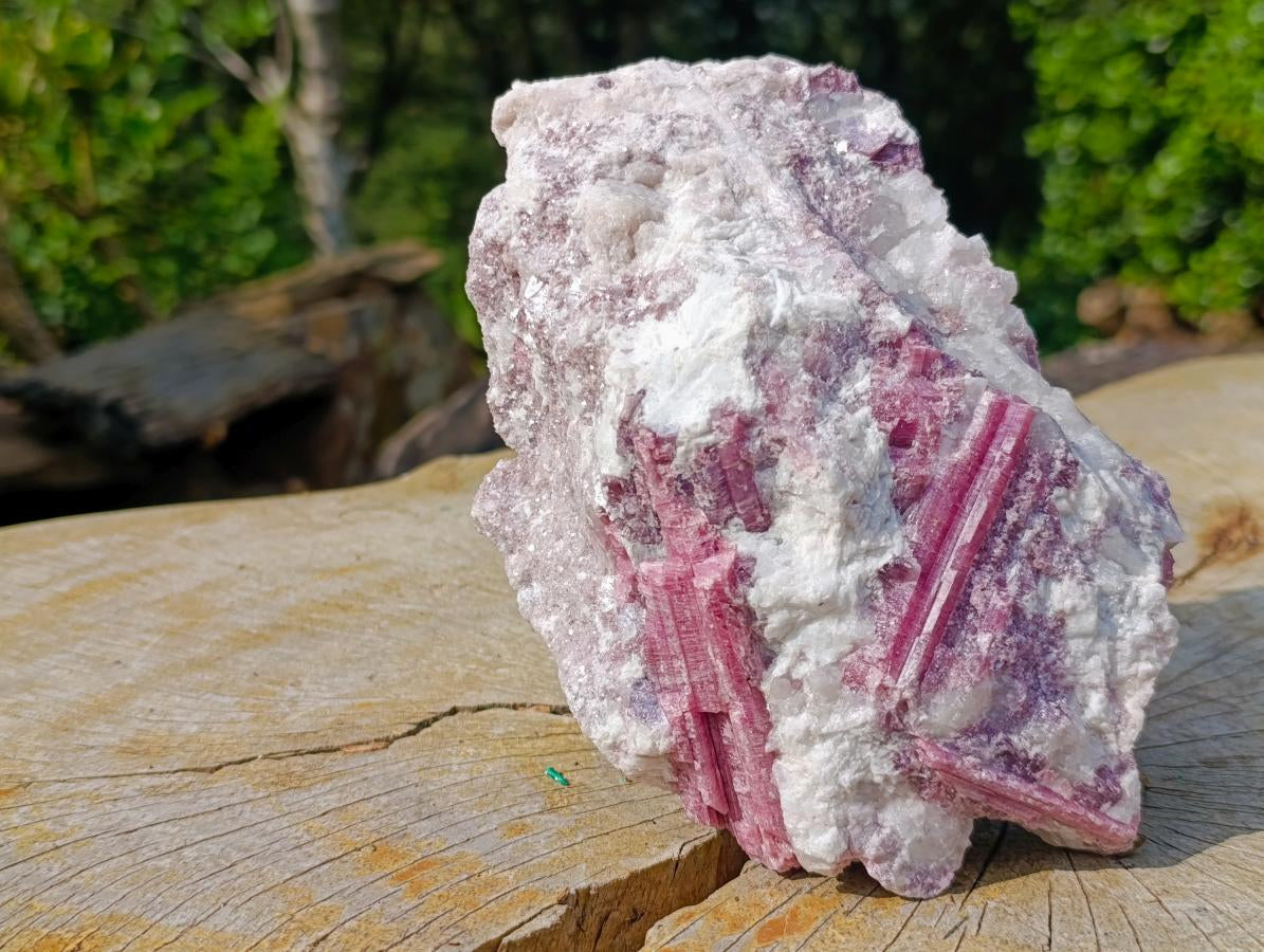 Natural Large Rubellite Pink Tourmaline in a Quartz and Mica Schist x 1 From Karibib, Namibia