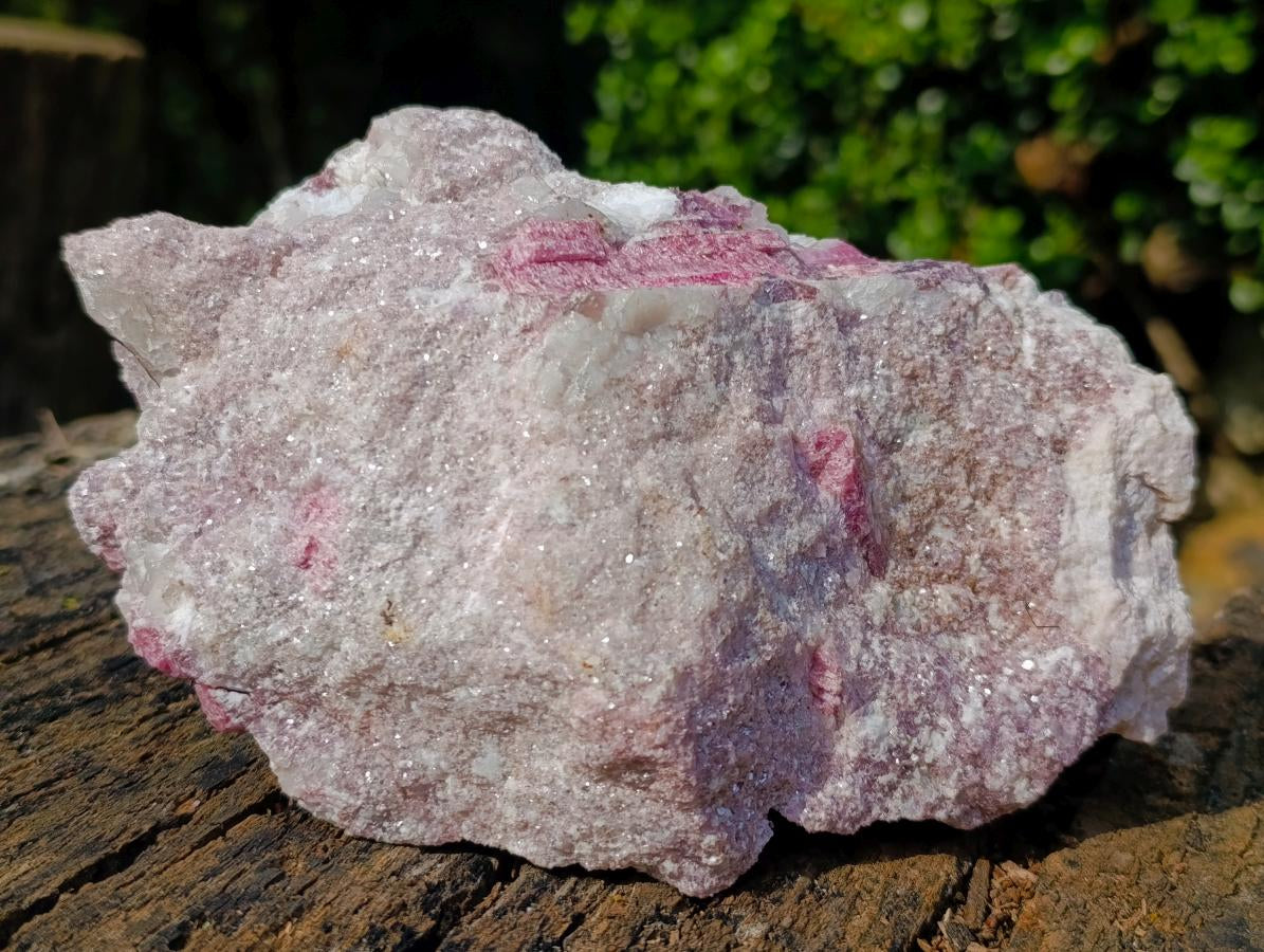 Natural Large Rubellite Pink Tourmaline in a Quartz and Mica Schist x 1 From Karibib, Namibia