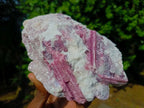 Natural Large Rubellite Pink Tourmaline in a Quartz and Mica Schist x 1 From Karibib, Namibia