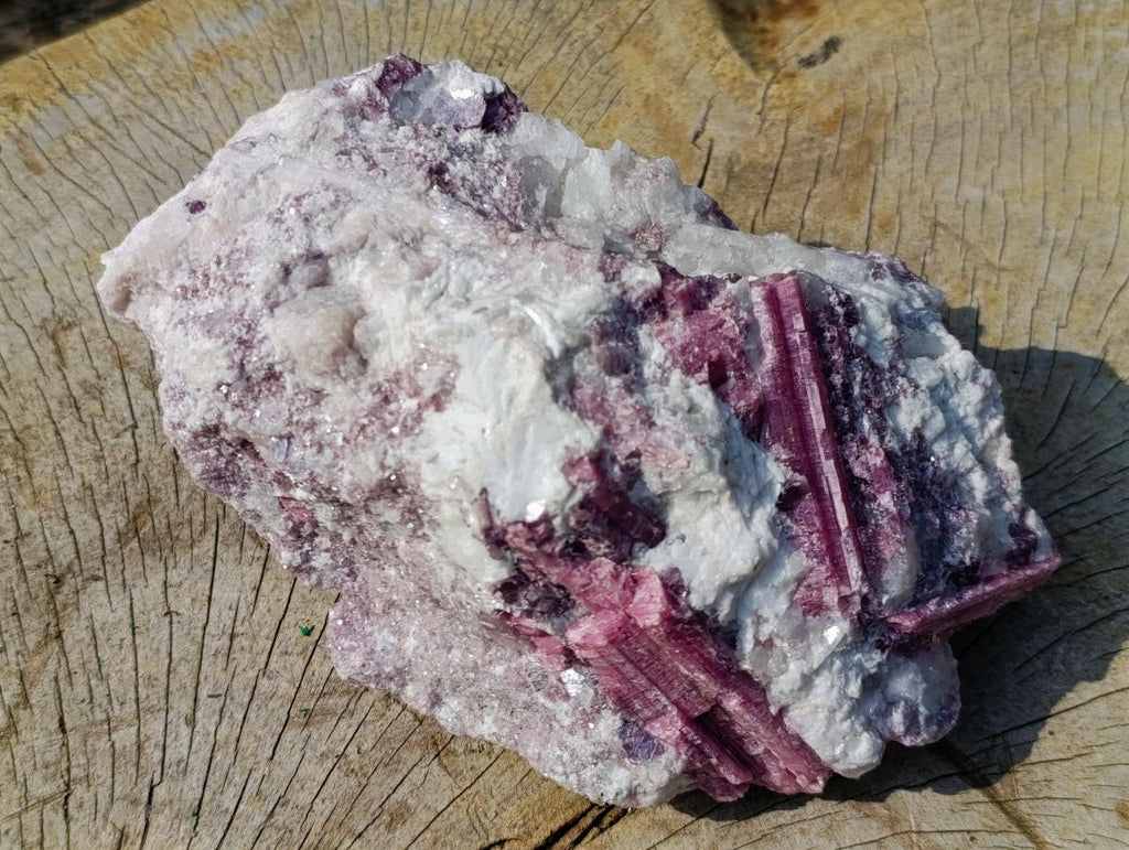 Natural Large Rubellite Pink Tourmaline in a Quartz and Mica Schist x 1 From Karibib, Namibia