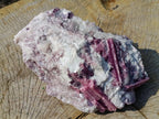 Natural Large Rubellite Pink Tourmaline in a Quartz and Mica Schist x 1 From Karibib, Namibia