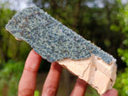 Natural Unique Foitite and Quartz on a Feldspar Crystal x 1 From Erongo Mountain, Namibia