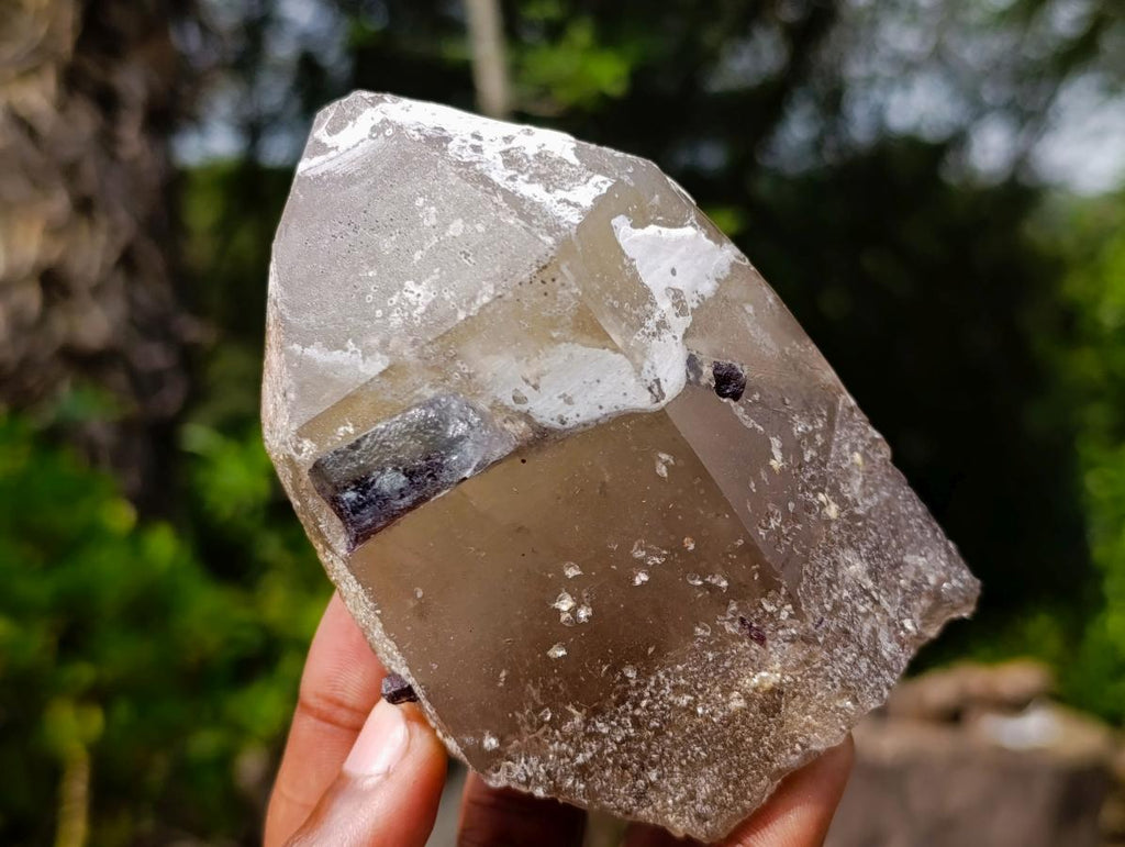Natural Rare Smokey Quartz Crystal with Fluorite and Schorl x 1 From Erongo, Namibia