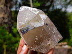Natural Rare Smokey Quartz Crystal with Fluorite and Schorl x 1 From Erongo, Namibia
