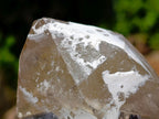 Natural Rare Smokey Quartz Crystal with Fluorite and Schorl x 1 From Erongo, Namibia