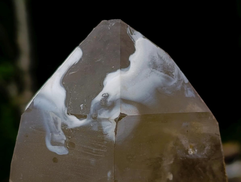 Natural Rare Smokey Quartz Crystal with Fluorite and Schorl x 1 From Erongo, Namibia