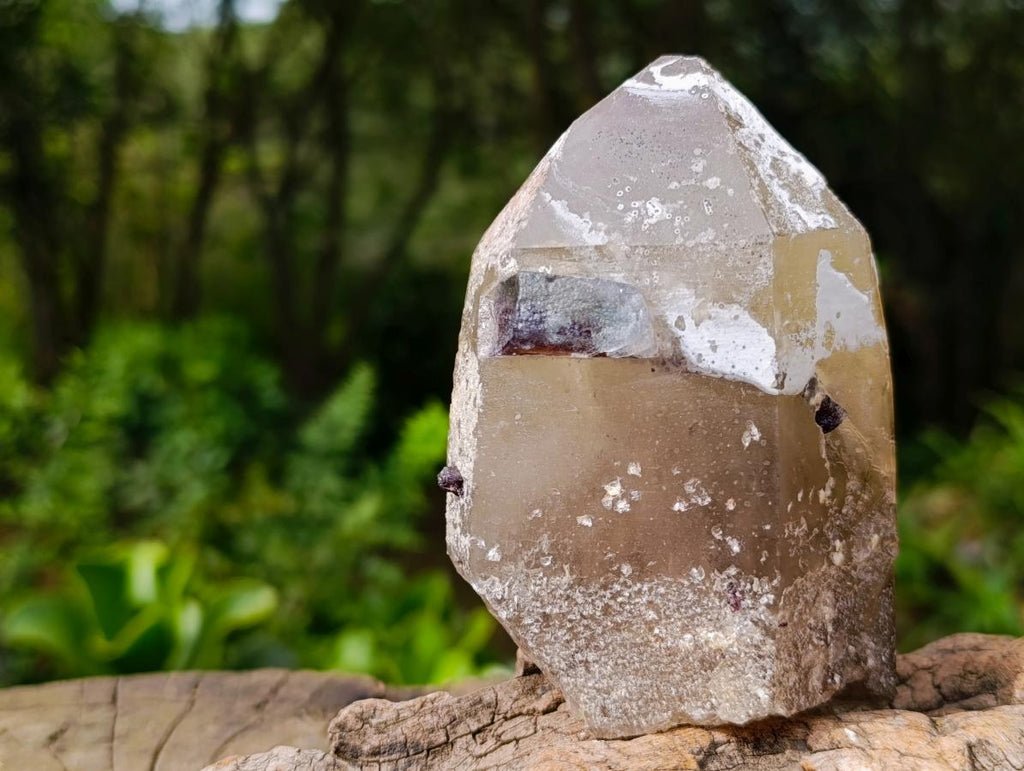 Natural Rare Smokey Quartz Crystal with Fluorite and Schorl x 1 From Erongo, Namibia