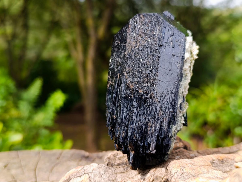 Natural Double Terminated Schorl Black Tourmaline Crystal with Hyalite Opal x 1 From Erongo, Namibia