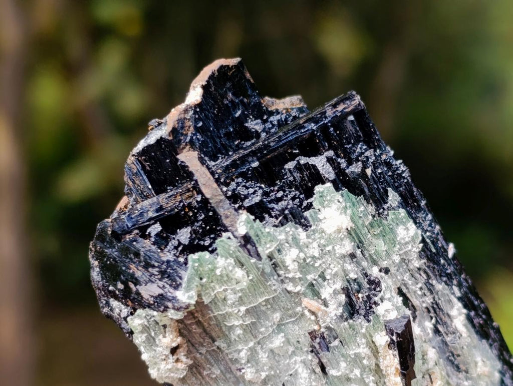 Natural Double Terminated Schorl Black Tourmaline Crystal with Hyalite Opal x 1 From Erongo, Namibia