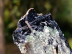 Natural Double Terminated Schorl Black Tourmaline Crystal with Hyalite Opal x 1 From Erongo, Namibia