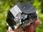 Natural Double Terminated Schorl Black Tourmaline Crystal with Hyalite Opal x 1 From Erongo, Namibia