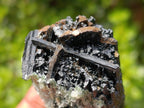 Natural Double Terminated Schorl Black Tourmaline Crystal with Hyalite Opal x 1 From Erongo, Namibia