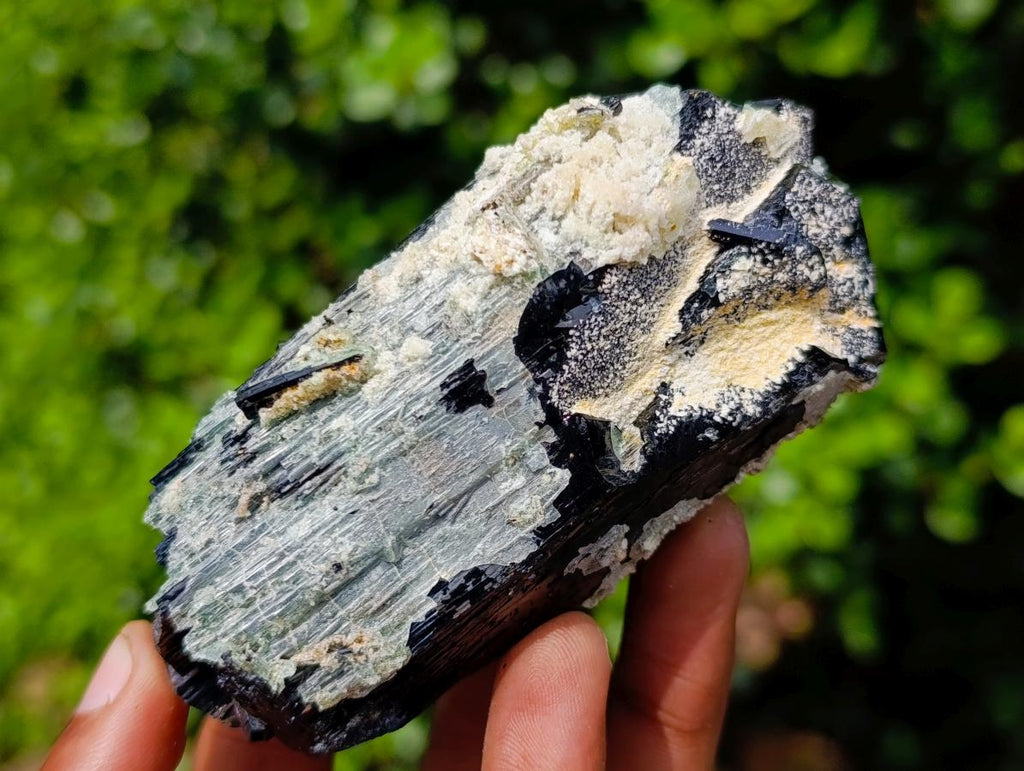 Natural Double Terminated Schorl Black Tourmaline Crystal with Hyalite Opal x 1 From Erongo, Namibia