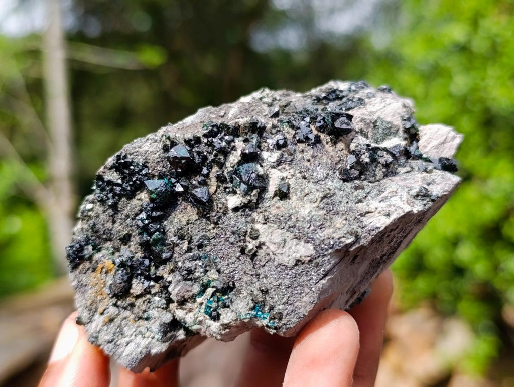 Natural Libethenite Crystals on Dolomite Matrix Specimen x 1 From Shituru, Congo