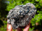 Natural Libethenite Crystals on Dolomite Matrix Specimen x 1 From Shituru, Congo